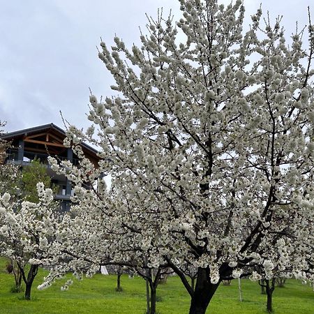 Affittacamere Verger Plein Soleil Saint-Pierre Dış mekan fotoğraf